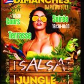 Dimanche / Soiree Salsa ce soir au OZ / Paris