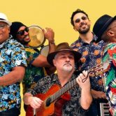 🇨🇺Cours / CUBA EN MOVIMIENTO🇨🇺Stage